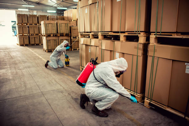 Best Pest Removal Services  in Kermit, TX