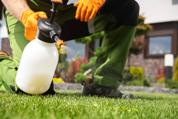 Best Cockroach Control Services  in Kermit, TX