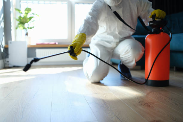 Best Pest Prevention Services  in Kermit, TX