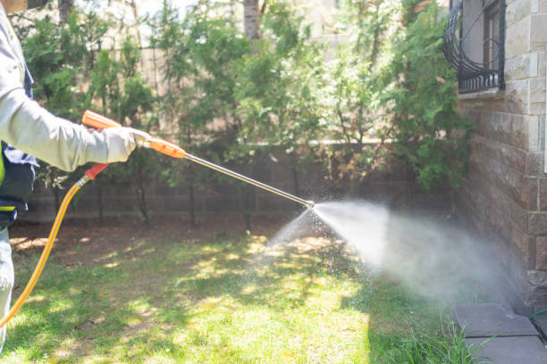 Best Flea Control Services  in Kermit, TX