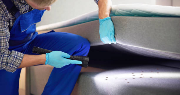 Best Bed Bug Extermination  in Kermit, TX