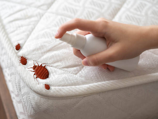 Best Best Pest Control Companies  in Kermit, TX