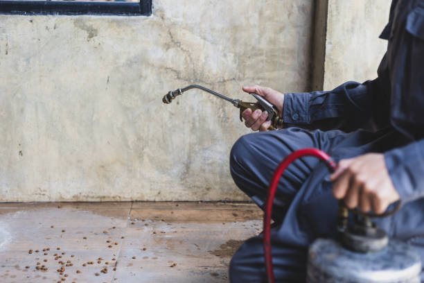 Best Pest Prevention Services  in Kermit, TX