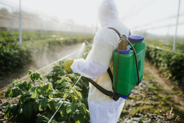 Wasp Removal Services in Kermit, TX
